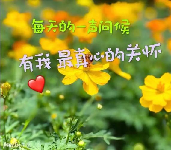 冬天早上好问候语祝福语 冬天早安表情图片大全