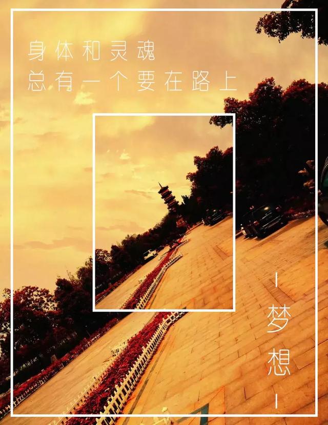 新的一周早晨正能量问候语心语：一日一生，要拼尽全力地度过今天