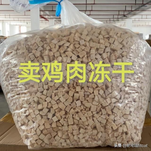 布偶猫多少钱:布偶猫多少钱一只 养一对布偶猫每月大约要花多少钱？