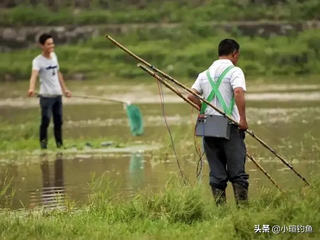 钓鱼猫现身柬埔寨爱捕鱼:什么情况下，鱼最活跃，最适合垂钓？ 钓鱼猫现身柬埔寨