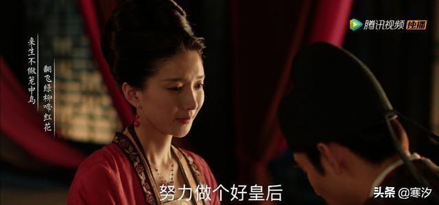 曹皇后有孩子吗:你愿做《清平乐》里那个恃宠而骄的张贵妃还是温柔贤淑的曹皇后