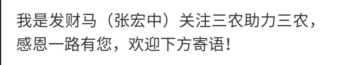 国家突发重大动物疫情应急预案:猪瘟期间有没有办法带肉？