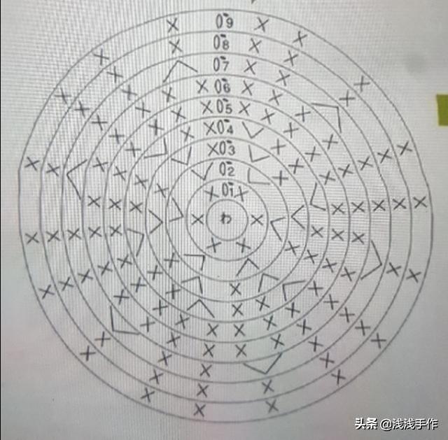 小乌龟图片:小乌龟图片卡通可爱 小乌龟肚子上的壳出现这种情况是为什么？怎么才能治好？