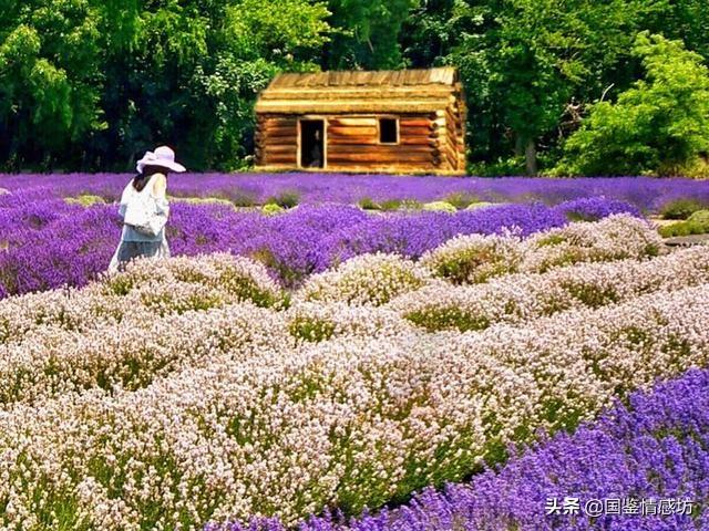 贵人出生异象,怎么才知道对方是你的贵人？