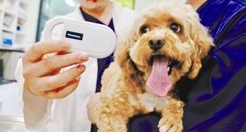 赛维洛犬菌清好不好:给狗子注射芯片到底好不好？
