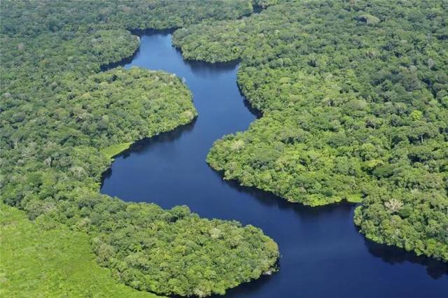 水怪百度百科，亚马逊河流内部有什么为何当地人难以靠近，莫非藏着水怪