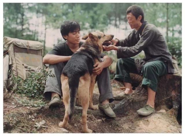 国内与狗有关的电影:介绍些关于人与狗的影片？ 国内和狗有关的电影