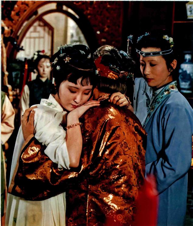 野鸭子大结局:电视剧《野鸭子》讲述了一个什么故事？