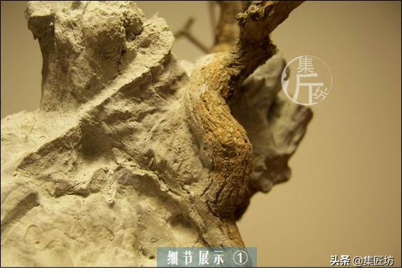 培新机械:工业机器人专业有哪些就业方向？