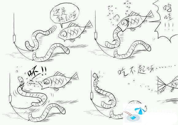 我手秃鹫的活饵:钓鱼用虾肉和蚯蚓哪个好？为何？
