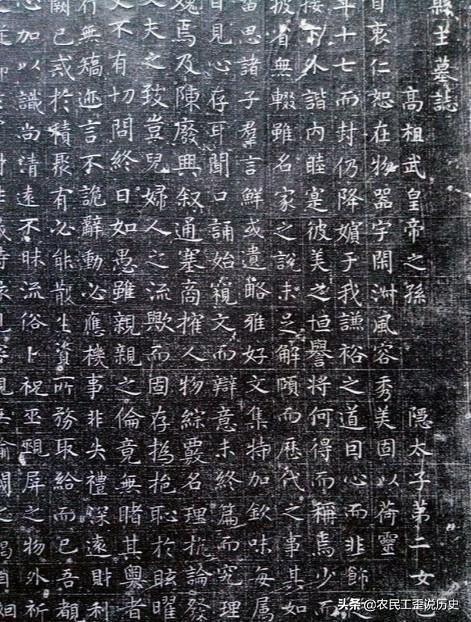 李世民儿子:唐太宗之子曹王李明如何评价？