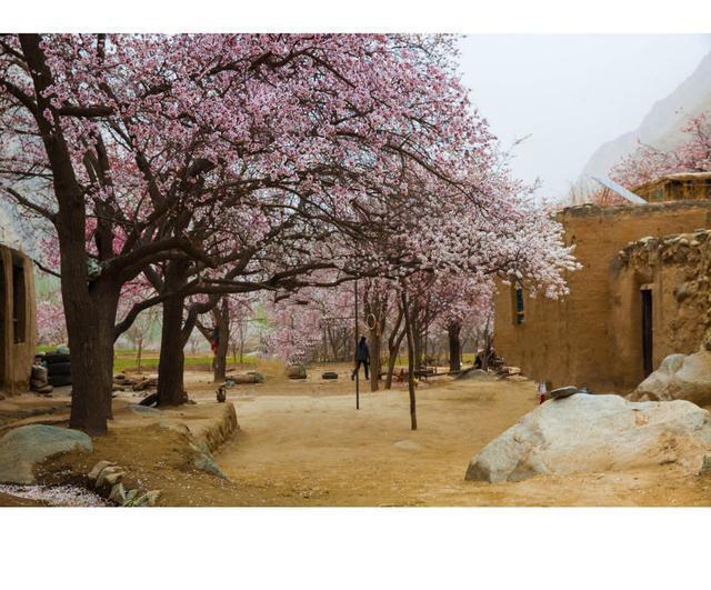 清明即事:清明写出了什么样的节日情景？