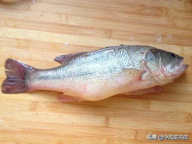 四川的清蒸鱼用什么鱼好:清蒸鱼头用什么鱼头最好？