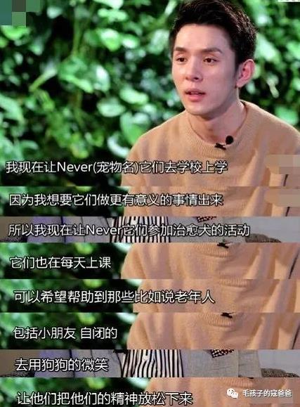 狗保姆:为什么有的狗狗会成为主人的“精神保姆”？ 狗保姆是谁