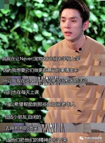 狗保姆的意义:为什么有的狗狗会成为主人的“精神保姆”？