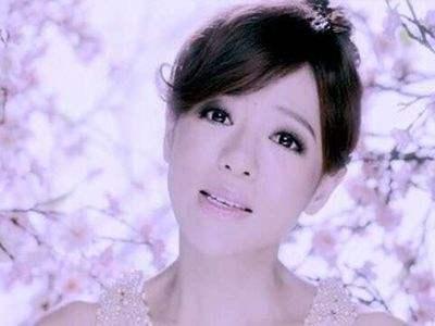 甄嬛传主题曲谁唱的:有什么歌的歌词写得像诗词一样吗