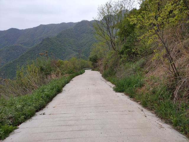 新藤惠美:地里长了许多葛根藤，怎么清除？