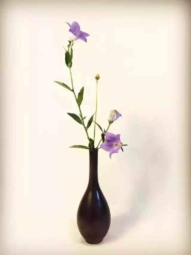 晚安伤感心情190111：人生已经如此不堪，岁月又何苦再补一刀