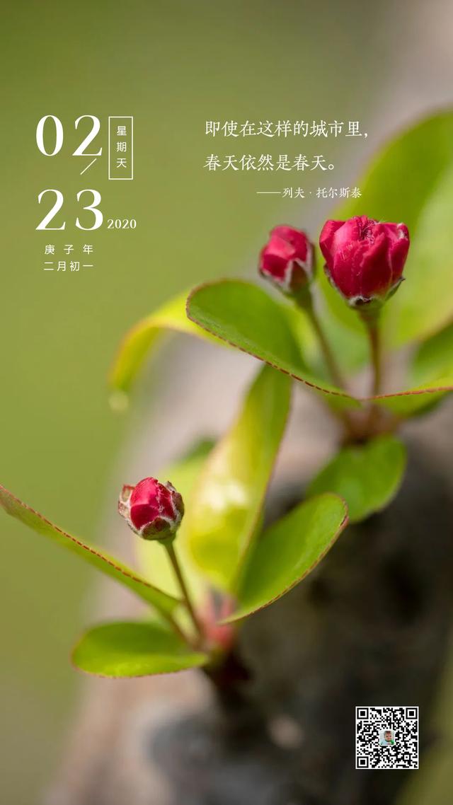 周末早上好图片日签正能量：春风十里，不如微笑的你