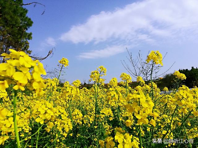 一天中只有我例行跟他说晚安,他才会回个晚安。我不主动找他,他应该不会记得我这个人了。是不是该分手了呢？