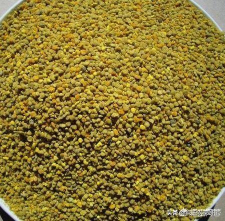 头条问答 蜜蜂春繁期间适合用红枣泥代替蜂花粉喂蜜蜂吗 15个回答