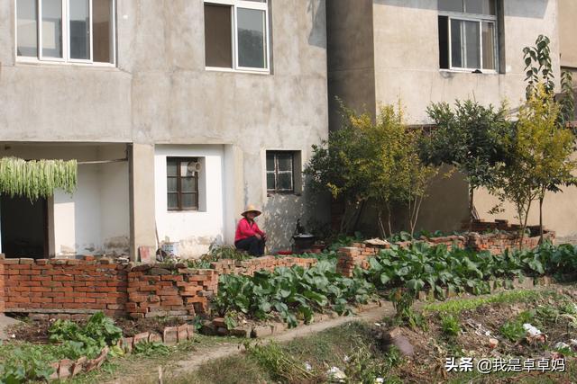 毕夏老公:退休后想，想到一个城市住几个月再换个城市住几个月，可行吗？
