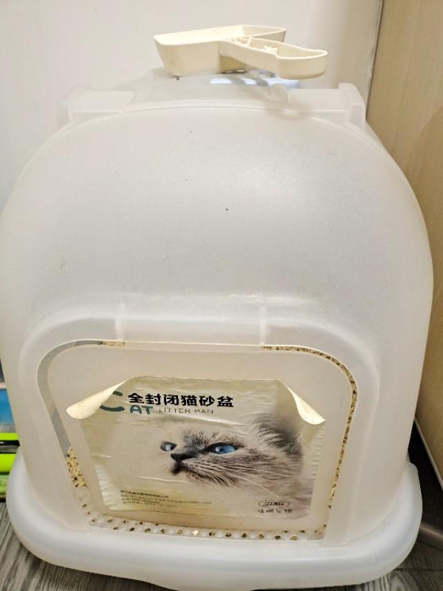 猫砂盆有放厨房的吗:猫砂盆放房间里会不会臭，猫砂放房间怎么祛味？
