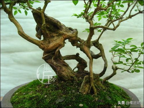 培新机械:工业机器人专业有哪些就业方向？