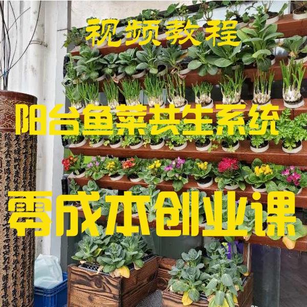 包头创业就业网，想回内蒙古工作，选择呼和浩特市好还是选择包头市好