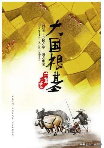 你从城市回到农村最大的感受是什么？