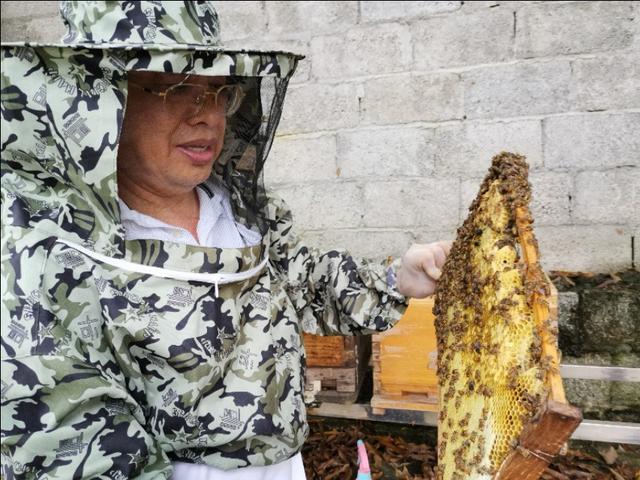 农村养殖什么好？
