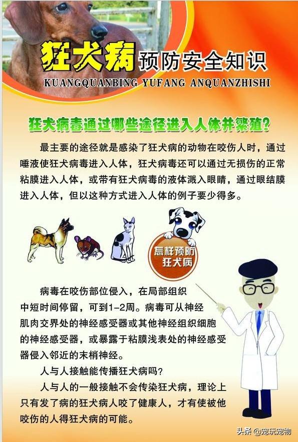 被家猫抓伤一定要打针吗:请问如果被家猫抓伤了手指要打针吗？