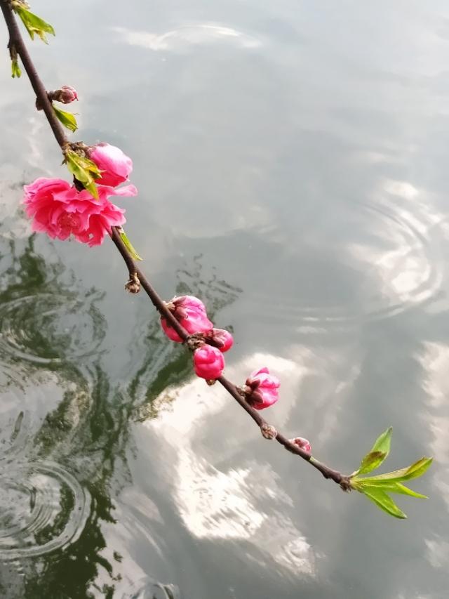 <a href=https://maguai.com/list/256-0-0.html target=_blank class=infotextkey>朋友圈</a>配图正能量:那些<a href=https://maguai.com/list/256-0-0.html target=_blank class=infotextkey>朋友圈</a>整天发“岁月静好”“正能量”的人是什么心态？