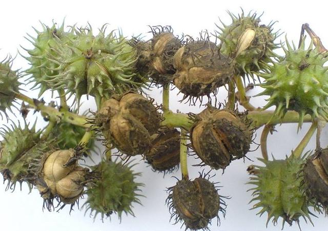 钱币市场滴水滚珠局:如何看待乞讨老太超市换零钱诬陷少给，不看监控就闹事要钱？