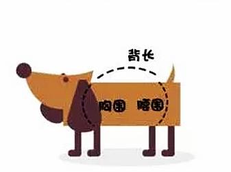 宠物狗衣服 的纸样:想给狗狗买衣服但没买过，是按体重还是要量尺寸呀？中型可卡犬？