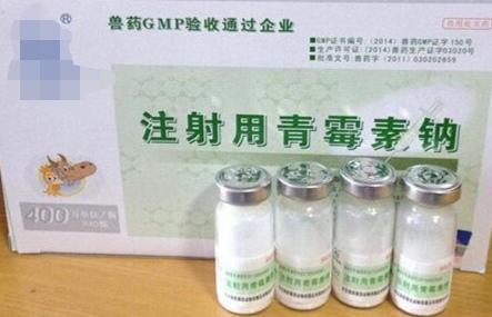 断奶小狗拉稀吃什么药:猪仔断奶后拉稀怎么办，该如何防治？ 断奶的小狗拉稀什么原因