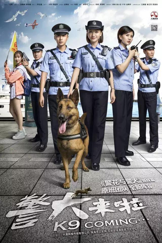 导盲犬小q是什么狗:关于犬的都有什么电影和电视剧？