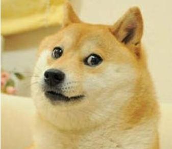 狗和狼的DNA一样吗？插图42