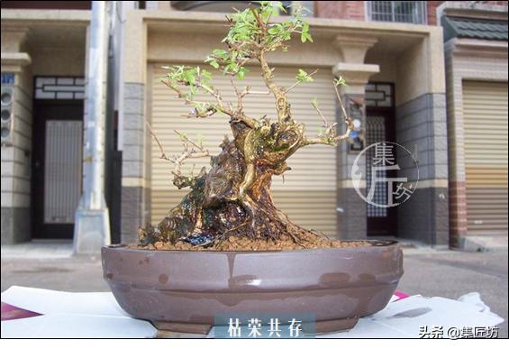 培新机械:工业机器人专业有哪些就业方向？
