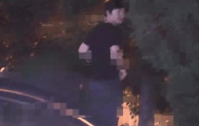王力宏的老婆:王力宏好友钢琴王子李云迪被传当街小便，你怎么看