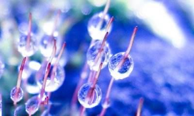 宠物志愿 全cg:中国这次新冠肺炎，该拍个纪录片记录全国是怎么抗击疫情的吗？