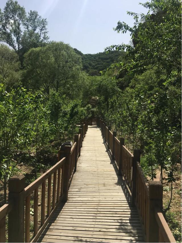 你觉得生活平淡吗？
