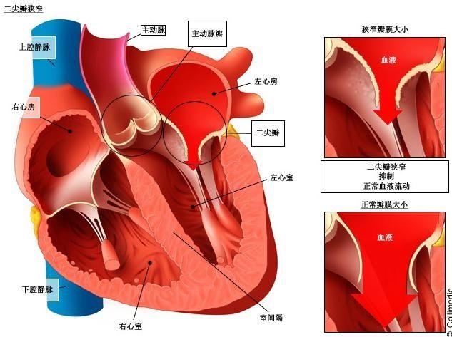 心率变异性怎么解读，什么叫“窦性心律”？会影响身体吗？