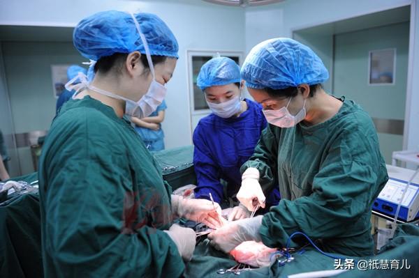 男子活剖孕狗拍视频无删减:头胎剖腹产一年不到又怀孕了，能要吗？