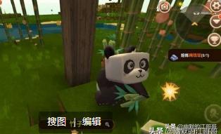 迷你世界如何驯服猫？