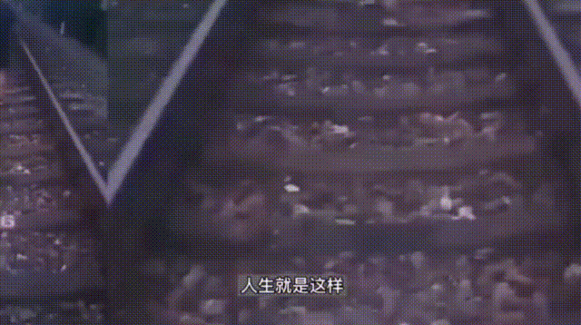 小狗狗视频:安徽一男子在铁轨上拍短视频不幸被火车撞击死亡，到底怎么回事？ 小狗狗视频表演