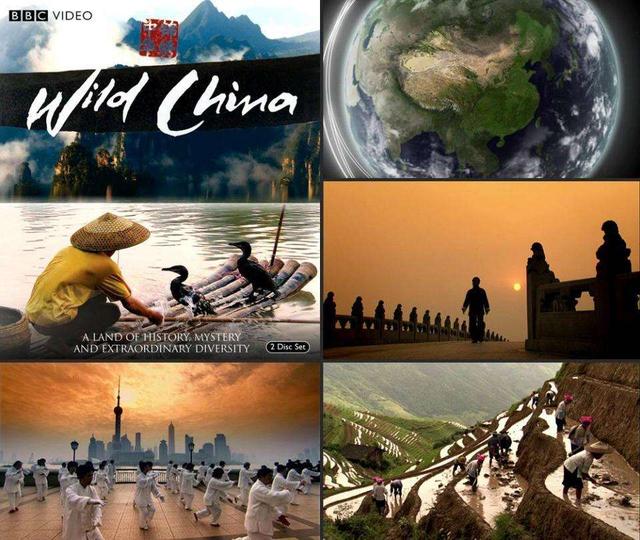 在烟草局、银行等工作中，真的会用到英语吗？:在某种程度上英语 第3张