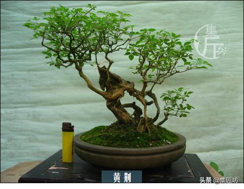 培新机械:工业机器人专业有哪些就业方向？