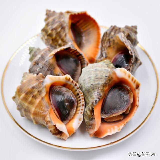 海鱼的做法大全:渤海湾的海鲜都有什么，海鲜都有什么做法？