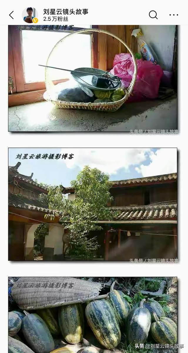先生 肥狗 胖丫头:俗语：“五树进宅，人穷家败”五树指的啥？这句话有道理吗？